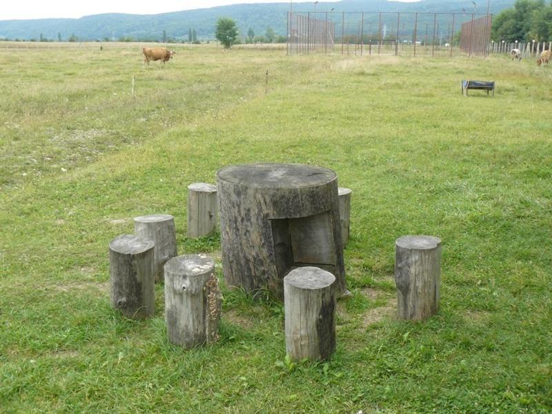 Pensiunea ,,La Struti" Targu Neamt Exteriér fotografie